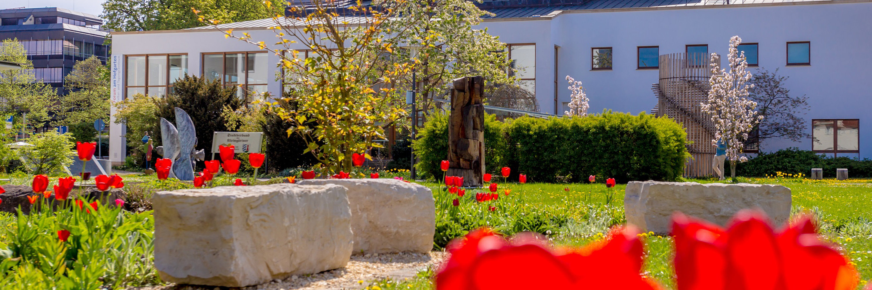 Auf dem Foto ist das Forum im Hofgarten im Hintergrund zu sehen, vorne säumen sich rote Tulpen und Rasenflächen des Hofgartens. Foto: Philipp Röger für die Stadt Günzburg