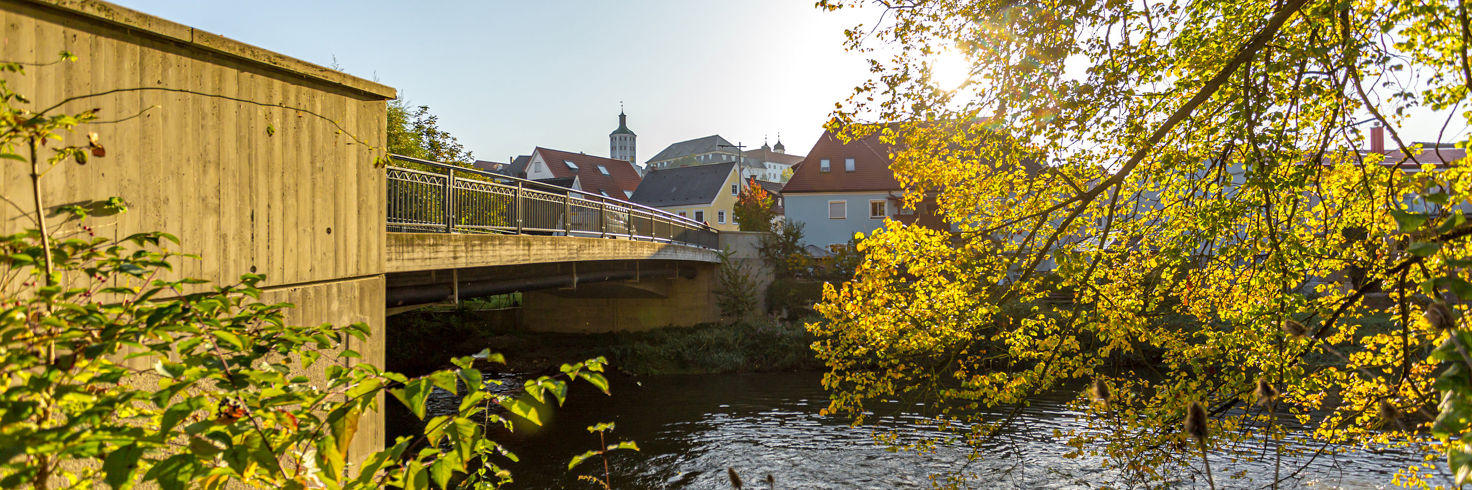 Tulpen im Hofgarten. Foto: Philipp Röger für die Stadt Günzburg